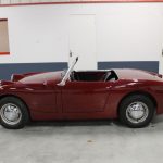 Vehicule Collection Austin Healey Frogeye 12