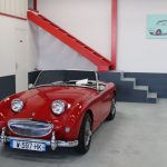 Vehicule Collection Biarritz Cforcar Austin Healey Sprite Bugeye Frog 1