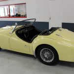 Vehicule Collection Biarritz Cforcar Triumph Tr3 Primerose 4