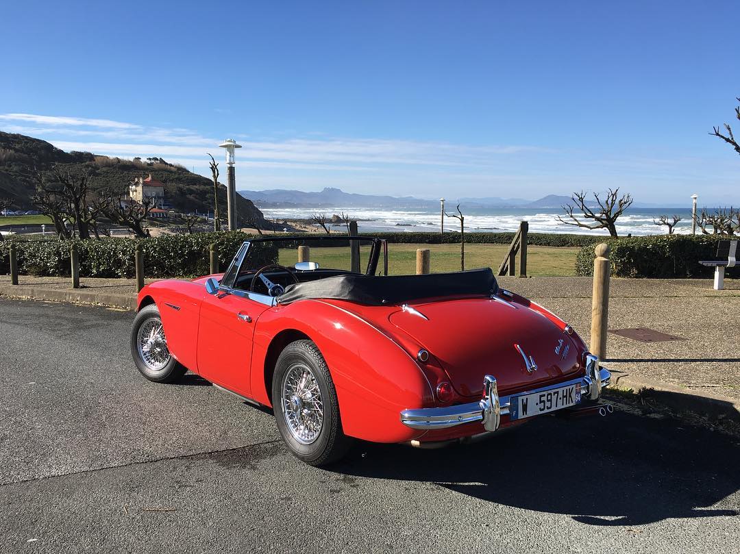 Austin Healey