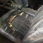 Cforcar Facel Vega Restoration 113