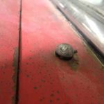 Cforcar Facel Vega Restoration 95