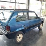 Cforcar Vente Voiture Collection Fiat Panda 4x4 5